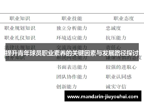 提升青年球员职业素养的关键因素与发展路径探讨