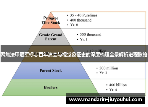 聚焦法甲冠军标志百年演变与视觉象征史的深度梳理全景解析进程脉络 聚焦法甲冠军标志百年演变与视觉象征史的深度梳理全景解析进程脉络