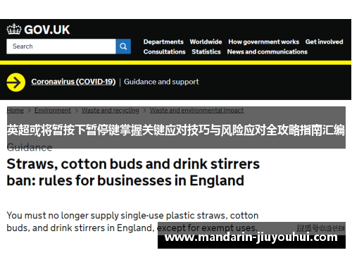 英超或将暂按下暂停键掌握关键应对技巧与风险应对全攻略指南汇编