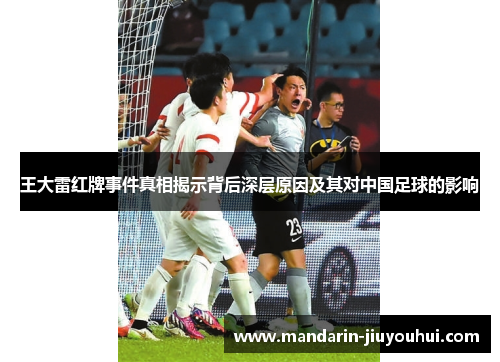 王大雷红牌事件真相揭示背后深层原因及其对中国足球的影响
