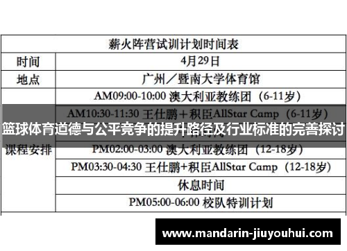 篮球体育道德与公平竞争的提升路径及行业标准的完善探讨
