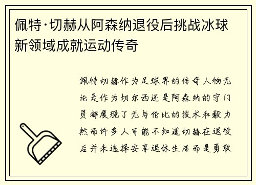 佩特·切赫从阿森纳退役后挑战冰球新领域成就运动传奇 佩特·切赫从阿森纳退役后挑战冰球新领域成就运动传奇